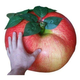 Логотип @moi_mishata - Здравствуйте, дорогие мои мышата