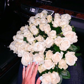 Логотип @moi_storis - Для твоих сторис 🖤