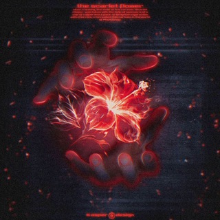 Логотип @moimalraj - МойМаленькийРай