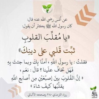 Логотип @moistatusy - Абу Идрис (Мои статусы)