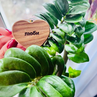 Логотип @moizelenye - Мои зеленые🪴