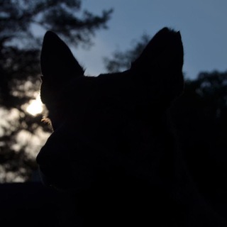 Логотип @moki_likos - Нужнааа