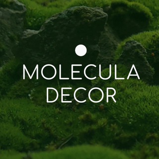 Логотип @molecula_decor - MOLECULA DECOR