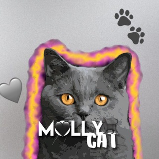 Логотип @mollylovecat - 🍀𝗠𝗢𝗟𝗟𝗬.𝗟𝗜𝗙𝗘🍄
