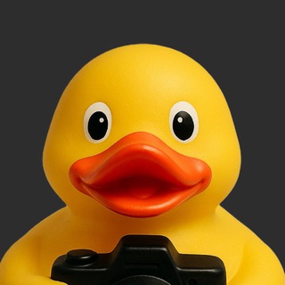 Логотип @molmediadnipra - Молодіжний медіацентр Дніпра - ММД