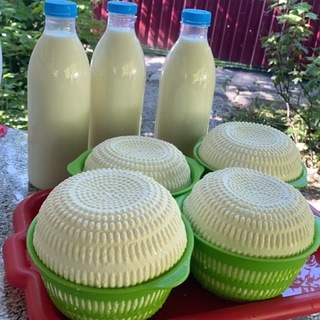 Логотип @molochka_y_pacanat - Молочка у Паканат