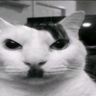 Логотип @momazoschingones - Momazos Chingones