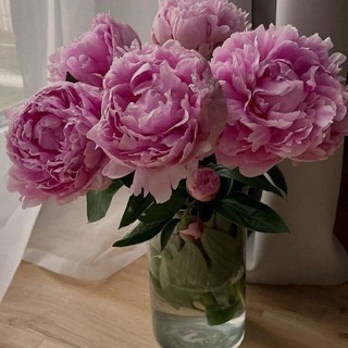 Логотип @moment020208 - happy moments