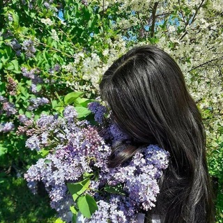 Логотип @momentomori2355 - ɜнᴀʍᴇниᴛᴀя.