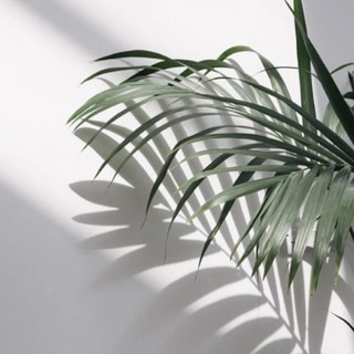 Логотип @moms_aesthetics - ◽️Мамина эстетика