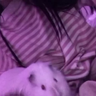 Логотип @mon_eysasha - Моника я