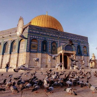 Логотип @mona_1041999 - مناقشات فلسطين 🇵🇸