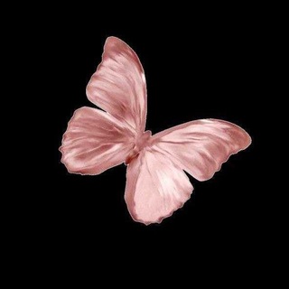 Логотип @monaco_uzb - Rasmlar va videolar😉