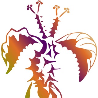 Логотип @monadenium_magnificum - Monadenium magnificum