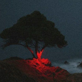 Логотип @monasteryaugust - обитель августа • бжбжбжжж