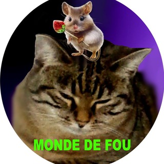 Логотип @mondedefou - HUMOUR et INFOS