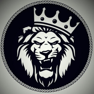 Логотип @money_kings_1 - Money Kings