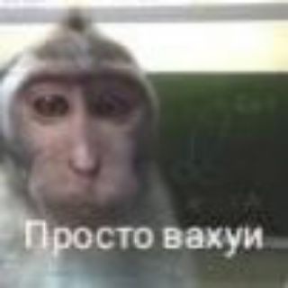 Логотип @moneyblackbears - 6А