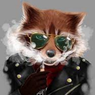 Логотип @moneycryptooooo - C-R-Y-P-T-O