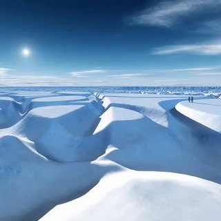 Логотип @moneyinvesttrading - Торговый дом