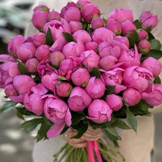 Логотип @moneytradechat - Перезагрузка