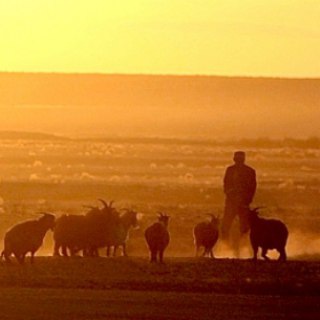 Логотип @mongolia_talk - 🇲🇳 Монгольский чат