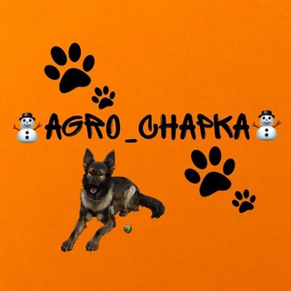 Логотип @mongreldogchapaka - ᴀɢʀo|ᴄʜᴀᴘᴋᴀ✌️❤️‍🔥