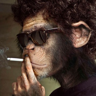 Логотип @monkeypencil - Обезьяна с карандашом🙈