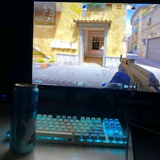 Логотип @monkeytv15 - WwW