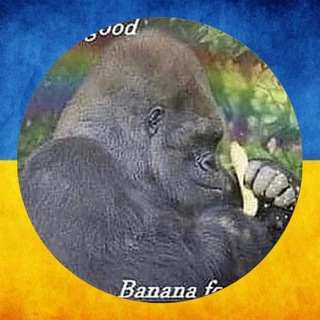 Логотип @monki_collection - monki collection | #УкрТг