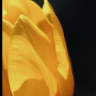 Логотип @monmonplaisir - Mon Plaisir