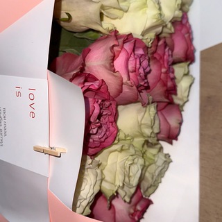 Логотип @monnamurr - monamur_domodedovo