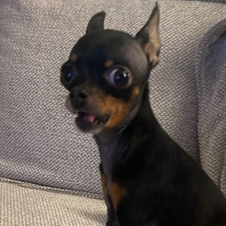 Логотип @monnolitt22 - MNLT