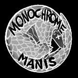 Логотип @monochromanis - placeholder