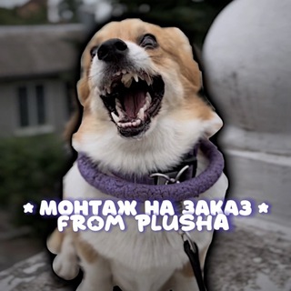 Логотип @montage_for_plushki - •авы от плюшки•
