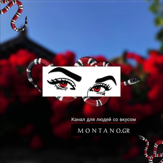 Логотип @montano_grr - 𝗠 𝗢 𝗡 𝗧 𝗔 𝗡 𝗢 ♡