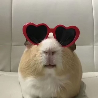Логотип @montathuk_chat - Обсуждалочка☺️💋