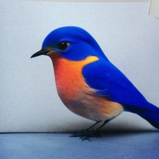 Логотип @montedom - Купить квартиру в Черногории