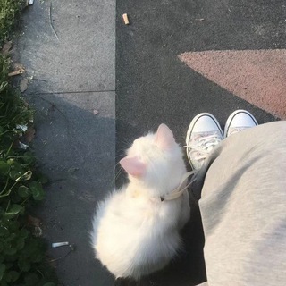 Логотип @mood_brilliant - Переходник для канала✨𝓜𝓸𝓸𝓭𝓑𝓻𝓲𝓵𝓵𝓲𝓪𝓷𝓽✨