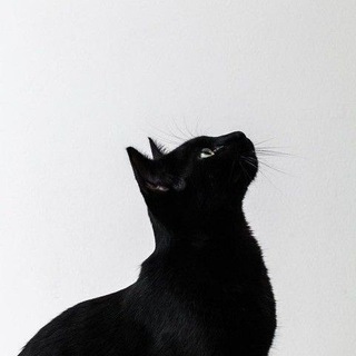 Логотип @moodspaceev - moods.pace