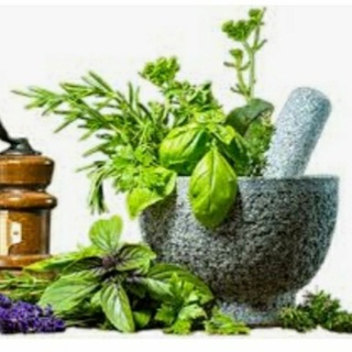 Логотип @moolikachikitsalu - 🍀 మూలికా చికిత్స🍀