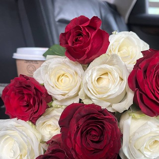 Логотип @moon_flame_969 - ❤🐻ℳℴℴ𝓃_𝒻𝓁𝒶𝓂ℯ 🐻❤