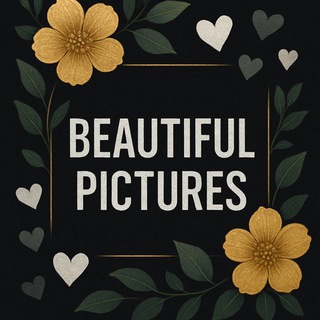 Логотип @moon_kartinki09 - B𝘦𝘢𝘶𝘵𝘪𝘧𝘶𝘭 𝘱𝘪𝘤𝘵𝘶𝘳𝘦𝘴 🤍