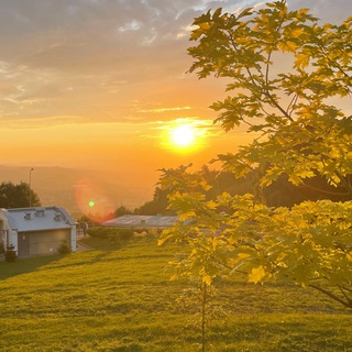 Логотип @moonflies - Under the sun