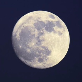 Логотип @moonglish4busy - Moonglish|Английский для занятых взрослых