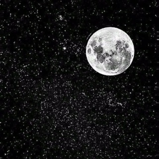 Логотип @moonlight_trek - 𝙼𝙾𝙾𝙽𝙻𝙸𝙶𝙷𝚃 𝚃𝚁𝙴𝙺