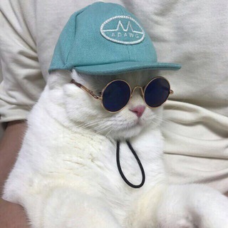 Логотип @moonlightkharkov - Душевный Чат Харьков 18+