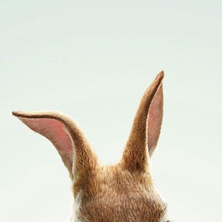 Логотип @moonlighttunes - MWG