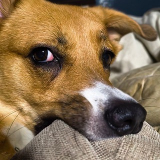 Логотип @mootveti - Ответы