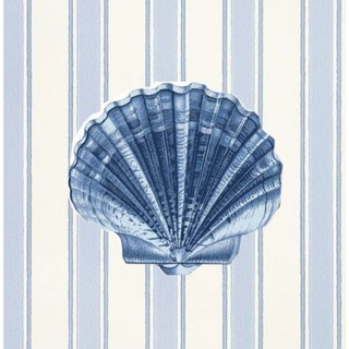 Логотип @more_spokoistviya - Море спокойствия 🐚